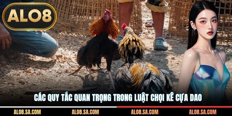 Các quy tắc quan trọng trong luật chọi kê cựa dao