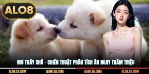 Mơ Thấy Chó - Chiến Thuật Phân Tích Ăn Ngay Trăm Triệu