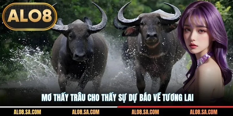 Mơ thấy trâu cho thấy sự dự báo về tương lai