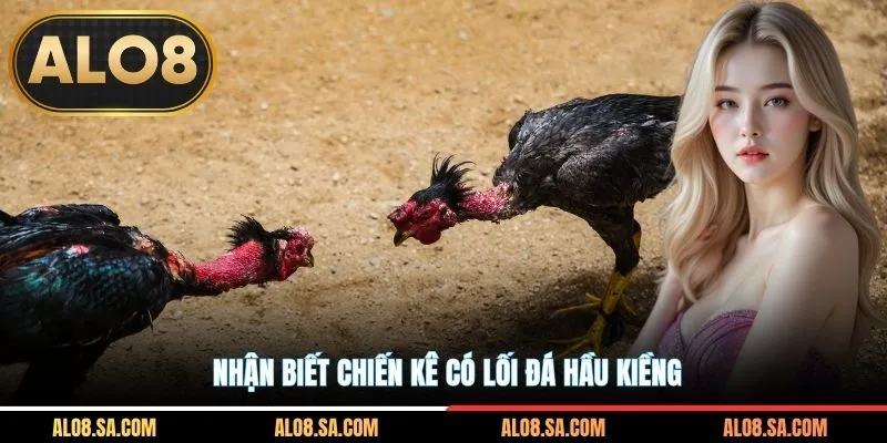Nhận biết chiến kê có lối đá hầu kiềng