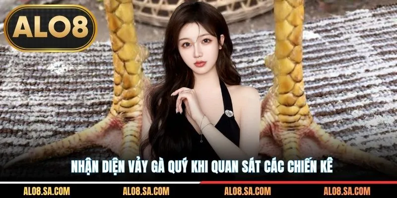 Nhận diện vảy gà quý khi quan sát các chiến kê