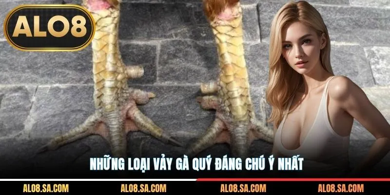 Những loại vảy gà quý đáng chú ý nhất